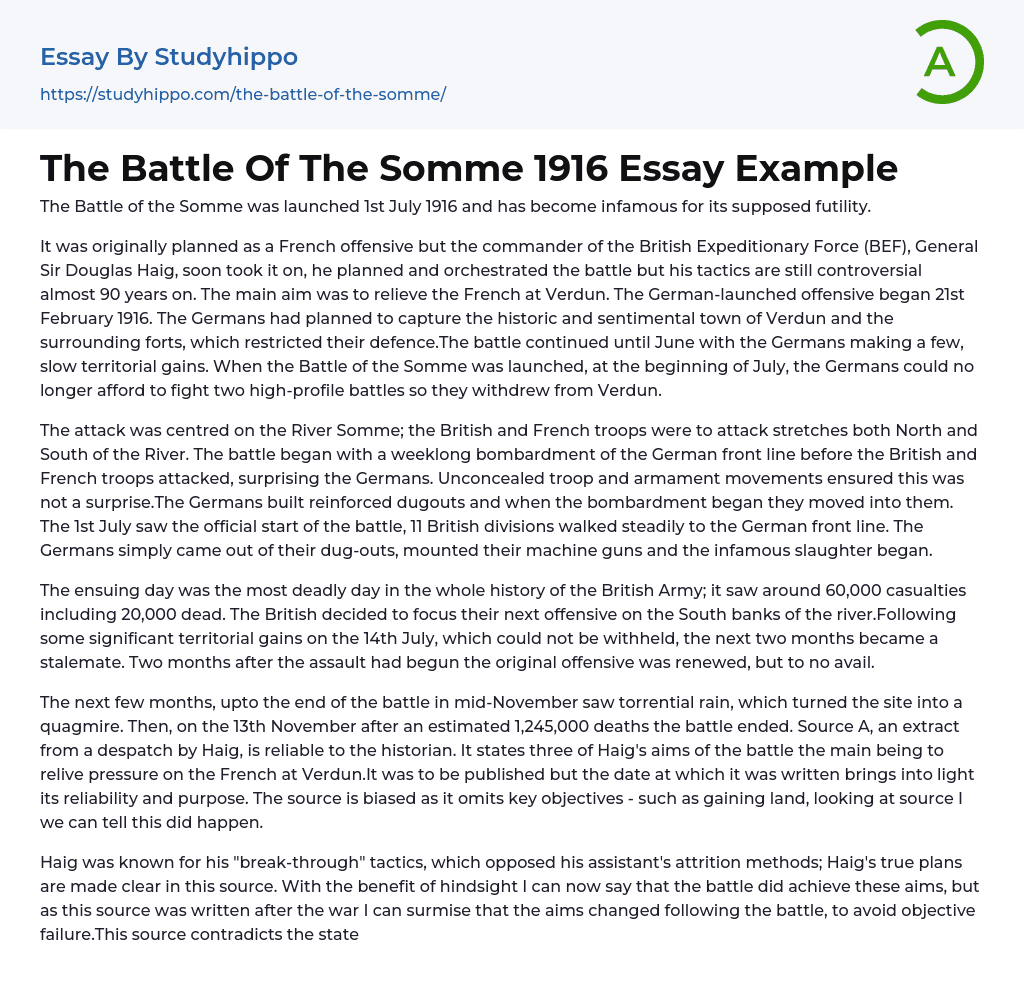 1916 essay summary