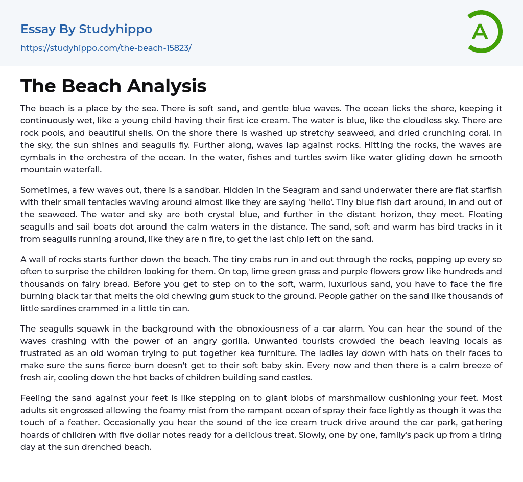 The Beach Analysis Essay Example