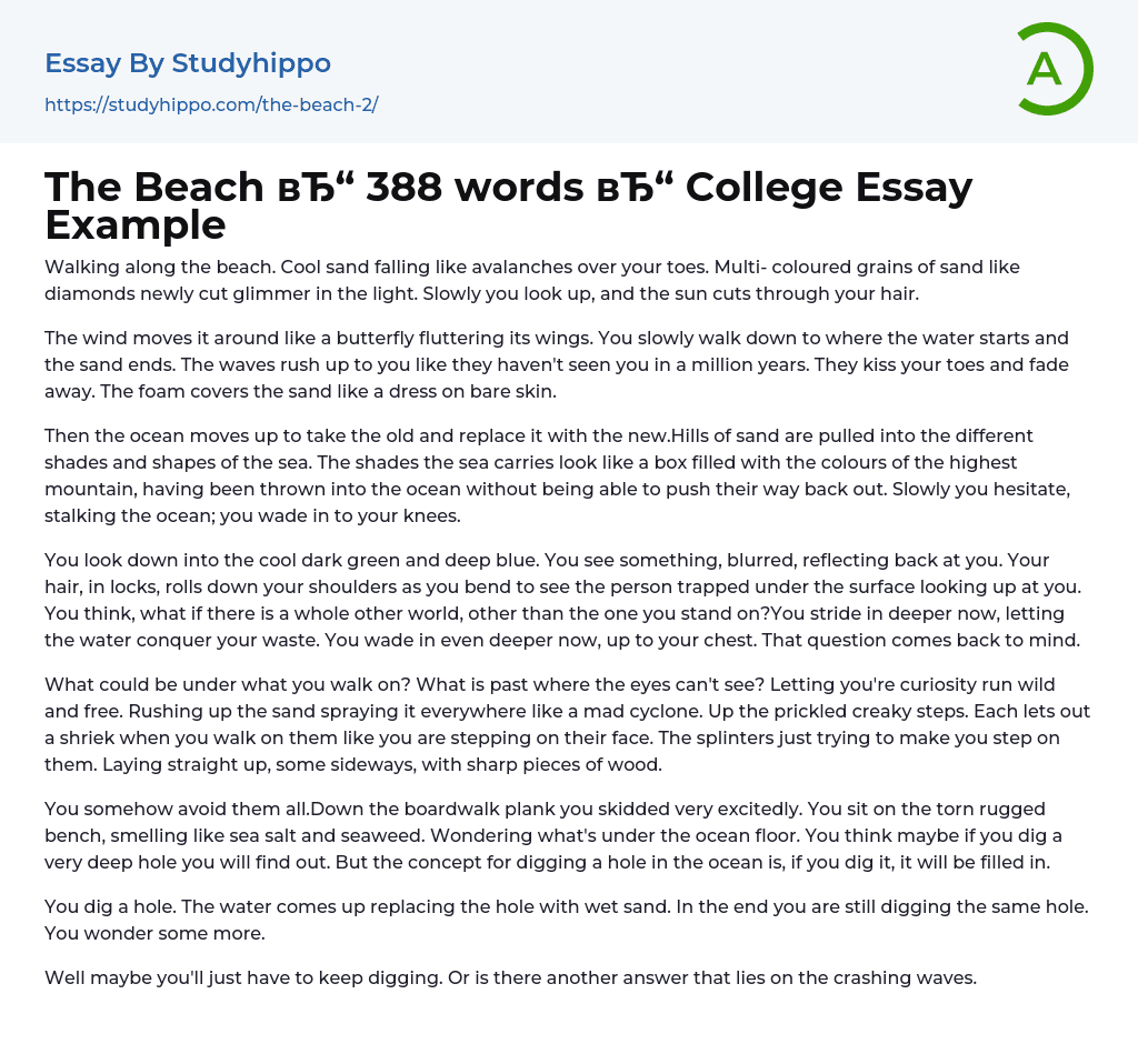 The Beach 388 words College Essay Example