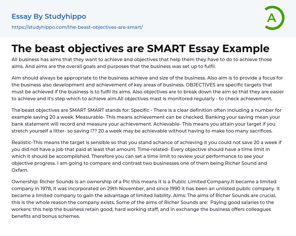 The beast objectives are SMART Essay Example