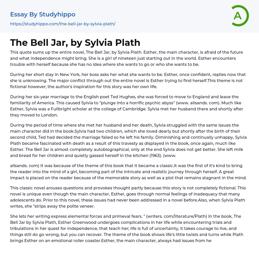 The Bell Jar, by Sylvia Plath Essay Example