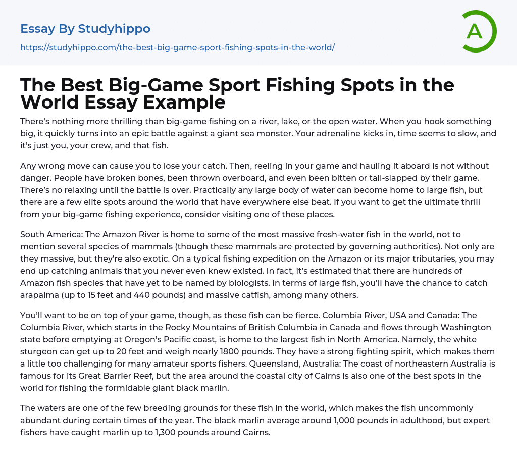 The Best Big-Game Sport Fishing Spots in the World Essay Example