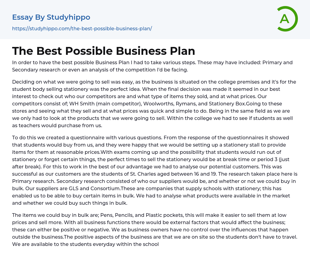 The Best Possible Business Plan Essay Example