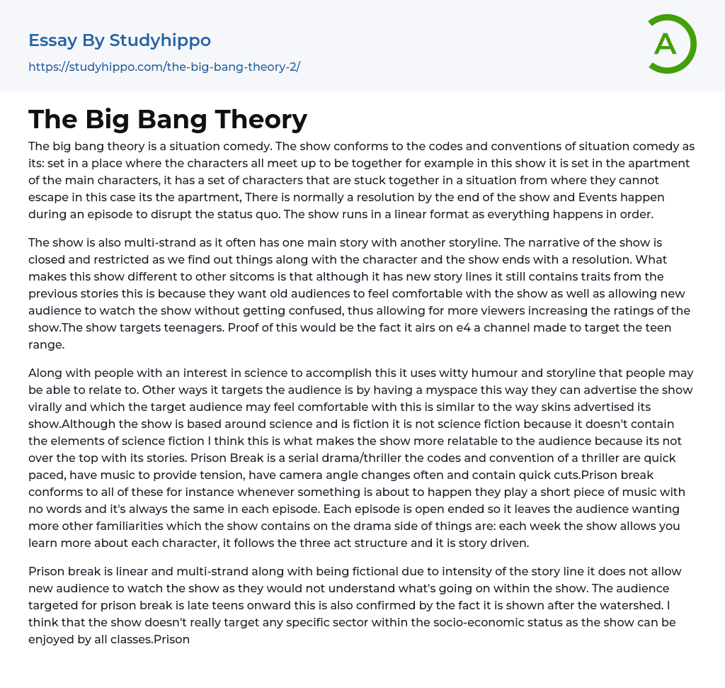 The Big Bang Theory Essay Example