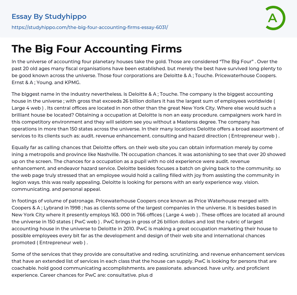 The Big Four Accounting Firms Essay Example