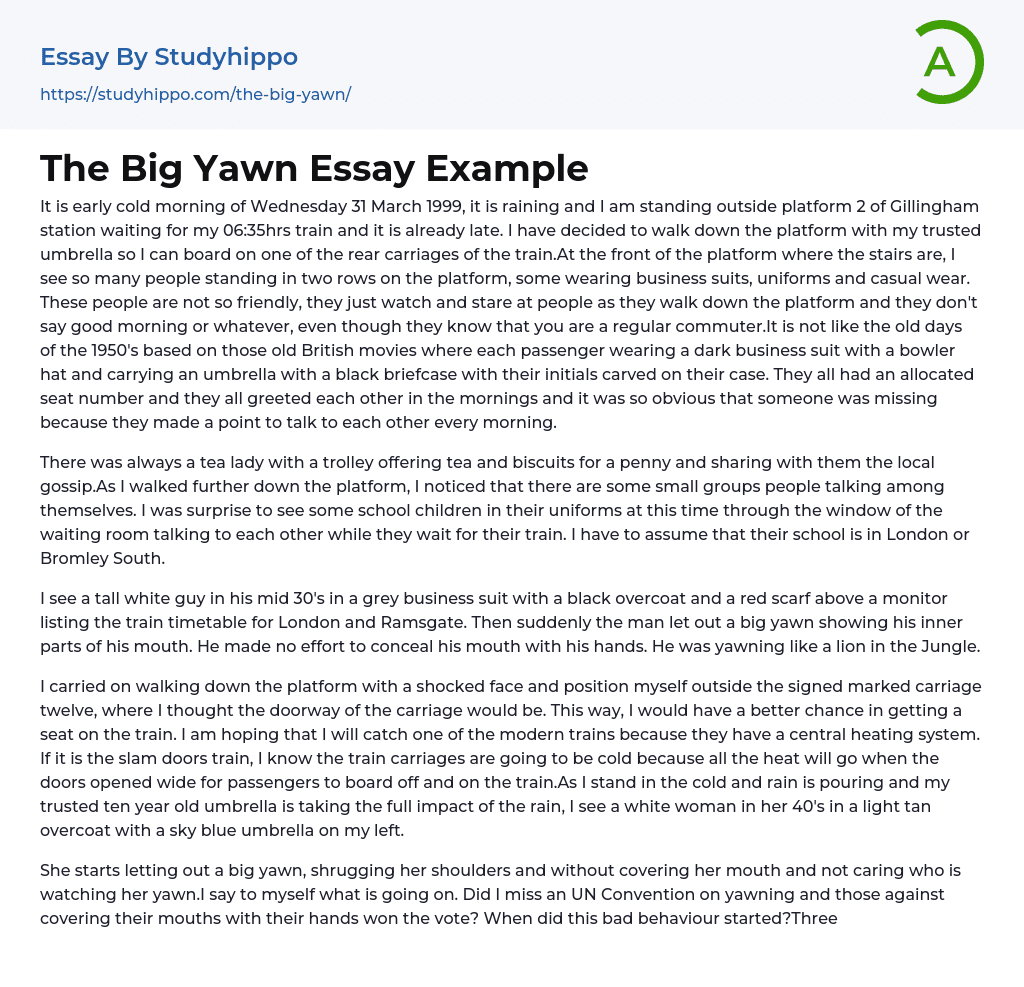 The Big Yawn Essay Example