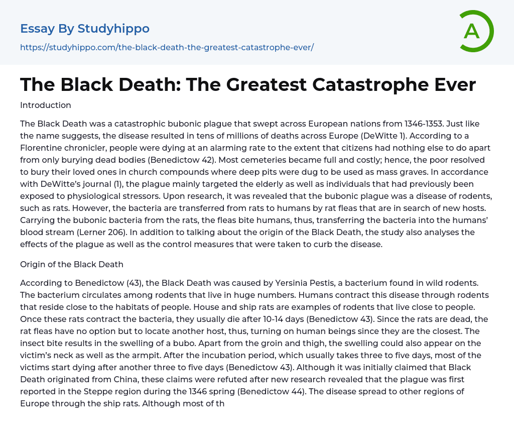 The Black Death: The Greatest Catastrophe Ever Essay Example