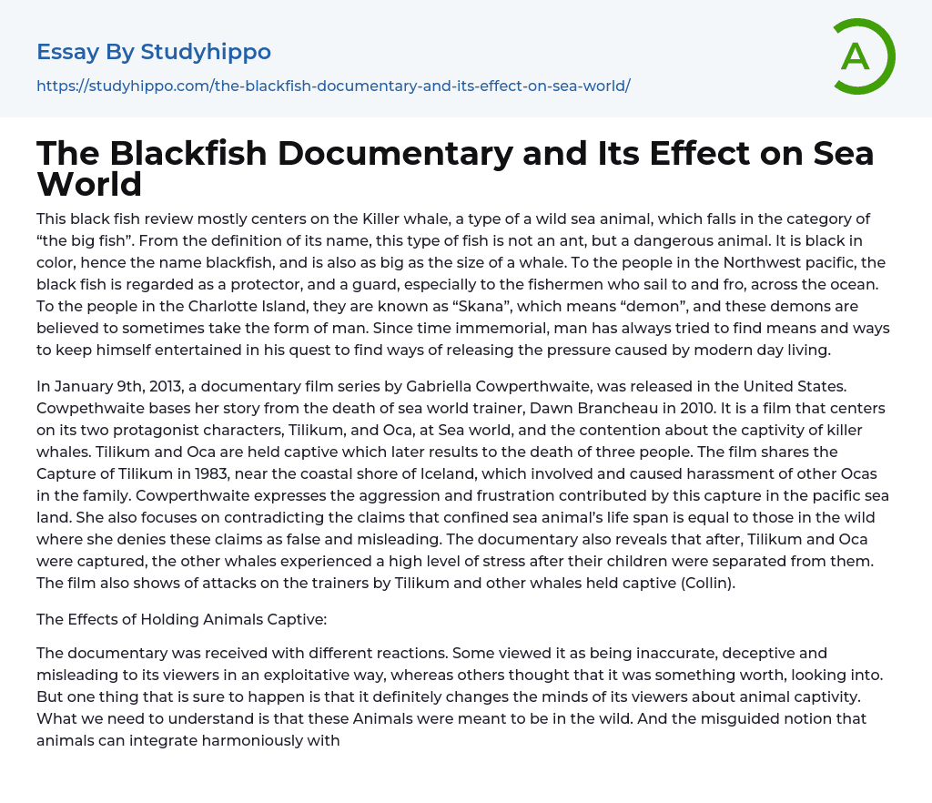 The Blackfish Documentary and Its Effect on Sea World Essay Example