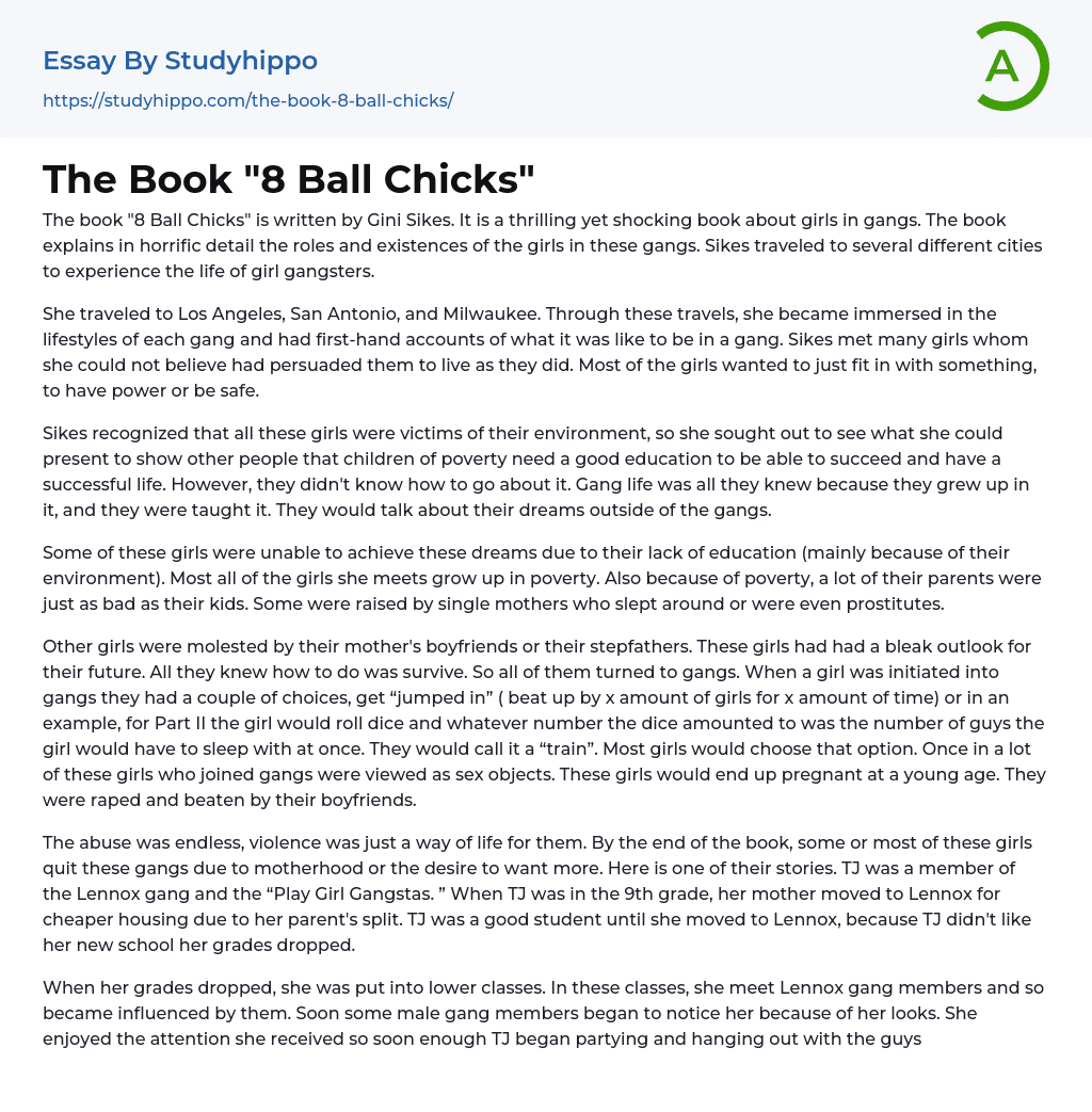 The Book “8 Ball Chicks” Essay Example