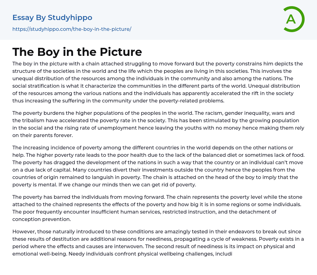 The Boy in the Picture Essay Example