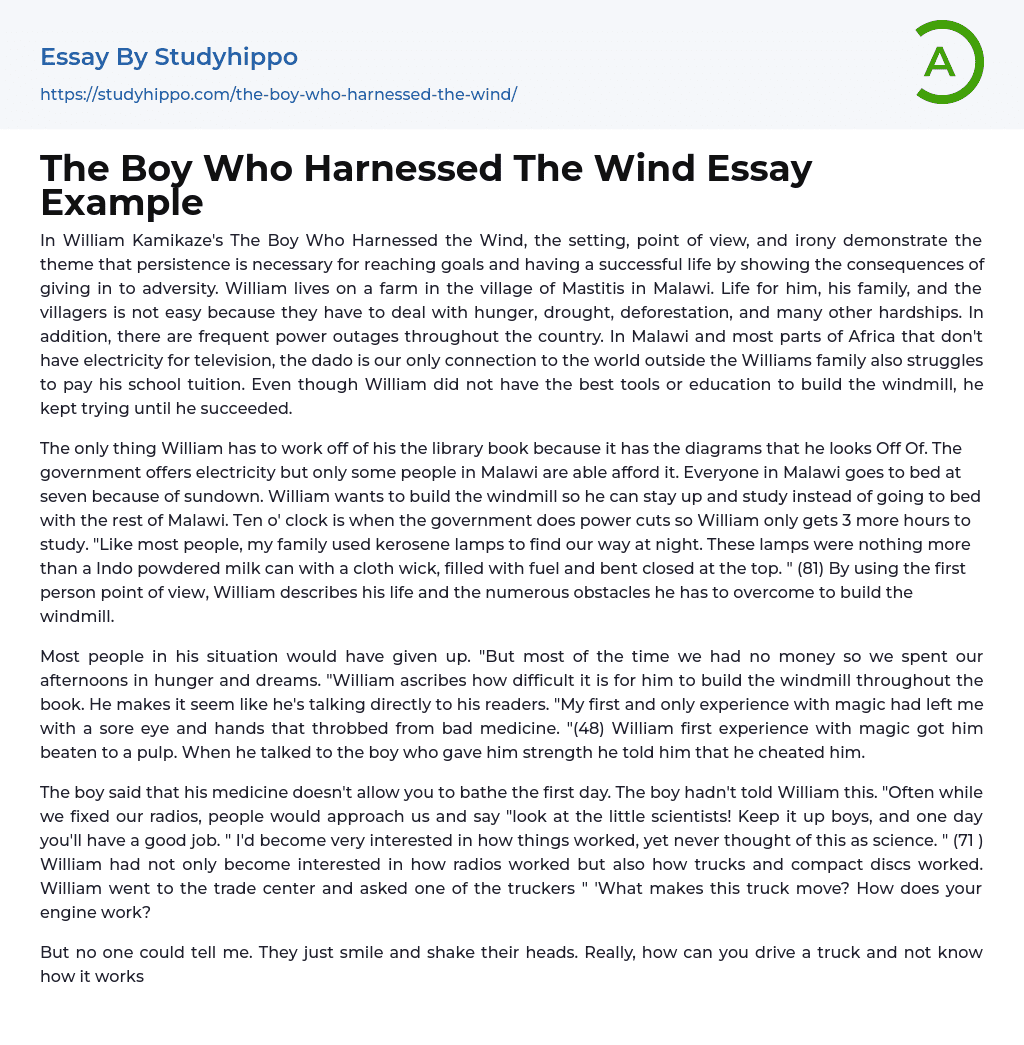 The Boy Who Harnessed The Wind Essay Example