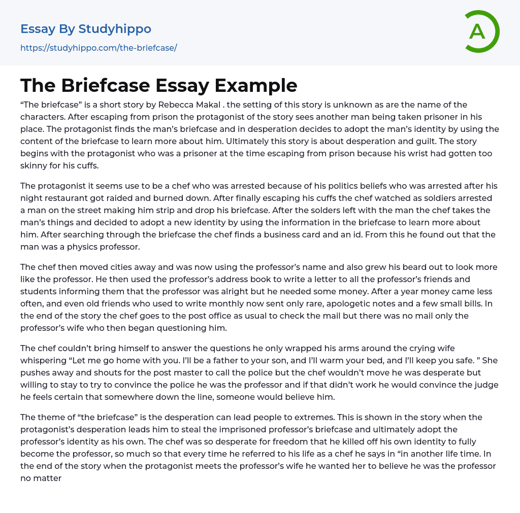 The Briefcase Essay Example