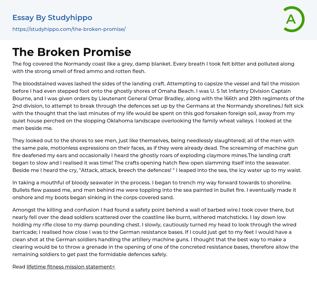 The Broken Promise Essay Example