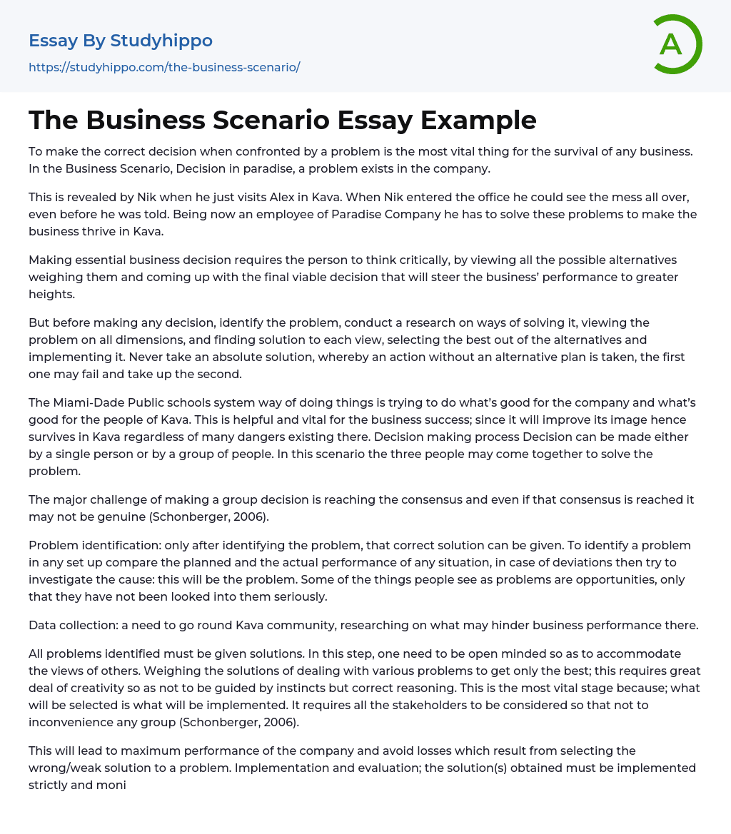 The Business Scenario Essay Example