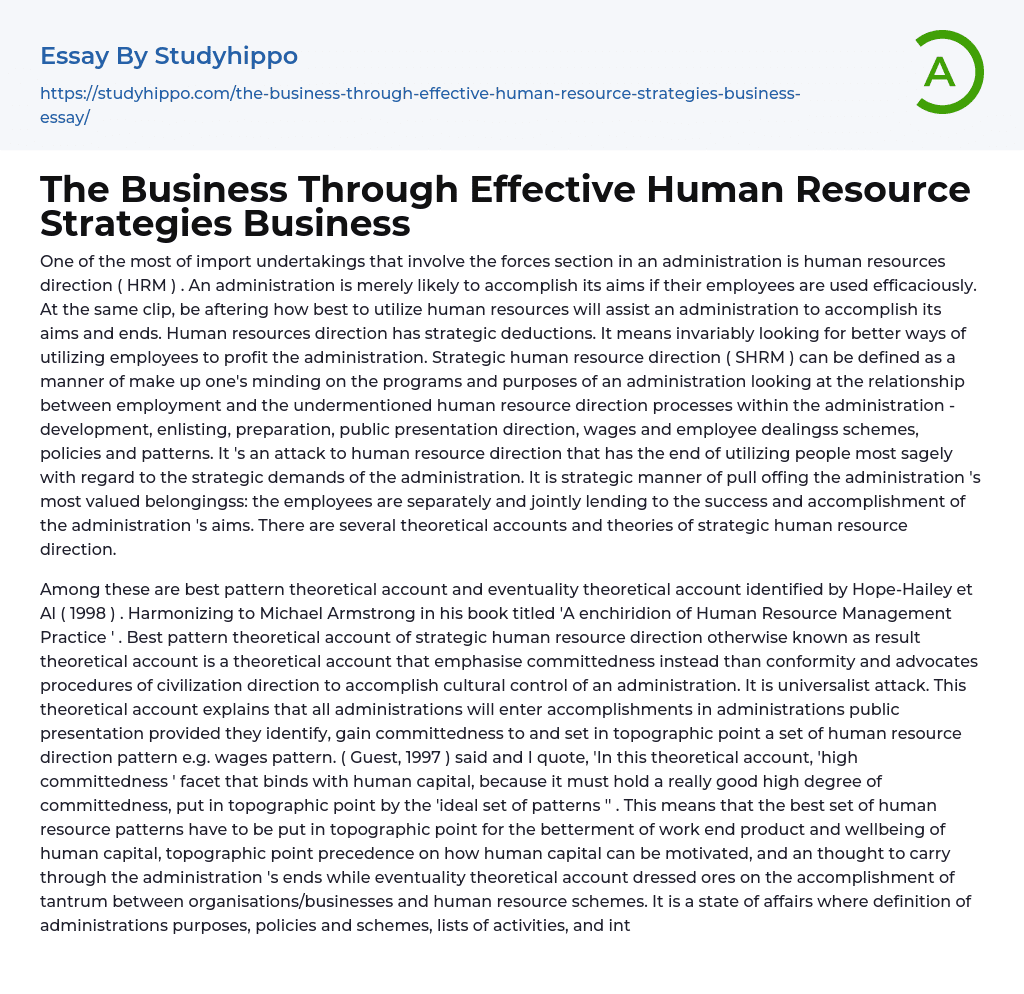 The Business Through Effective Human Resource Strategies Business Essay Example