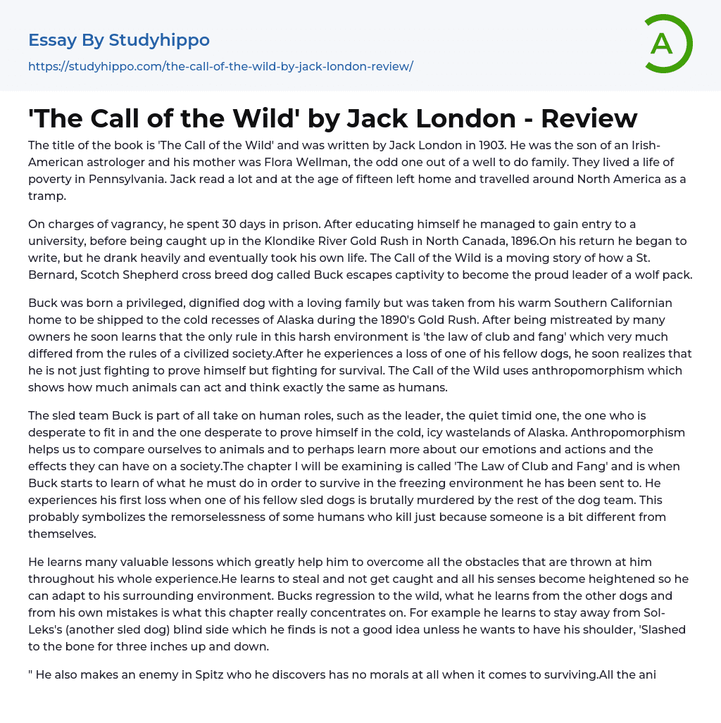 The Call of the Wild’ by Jack London – Review Essay Example