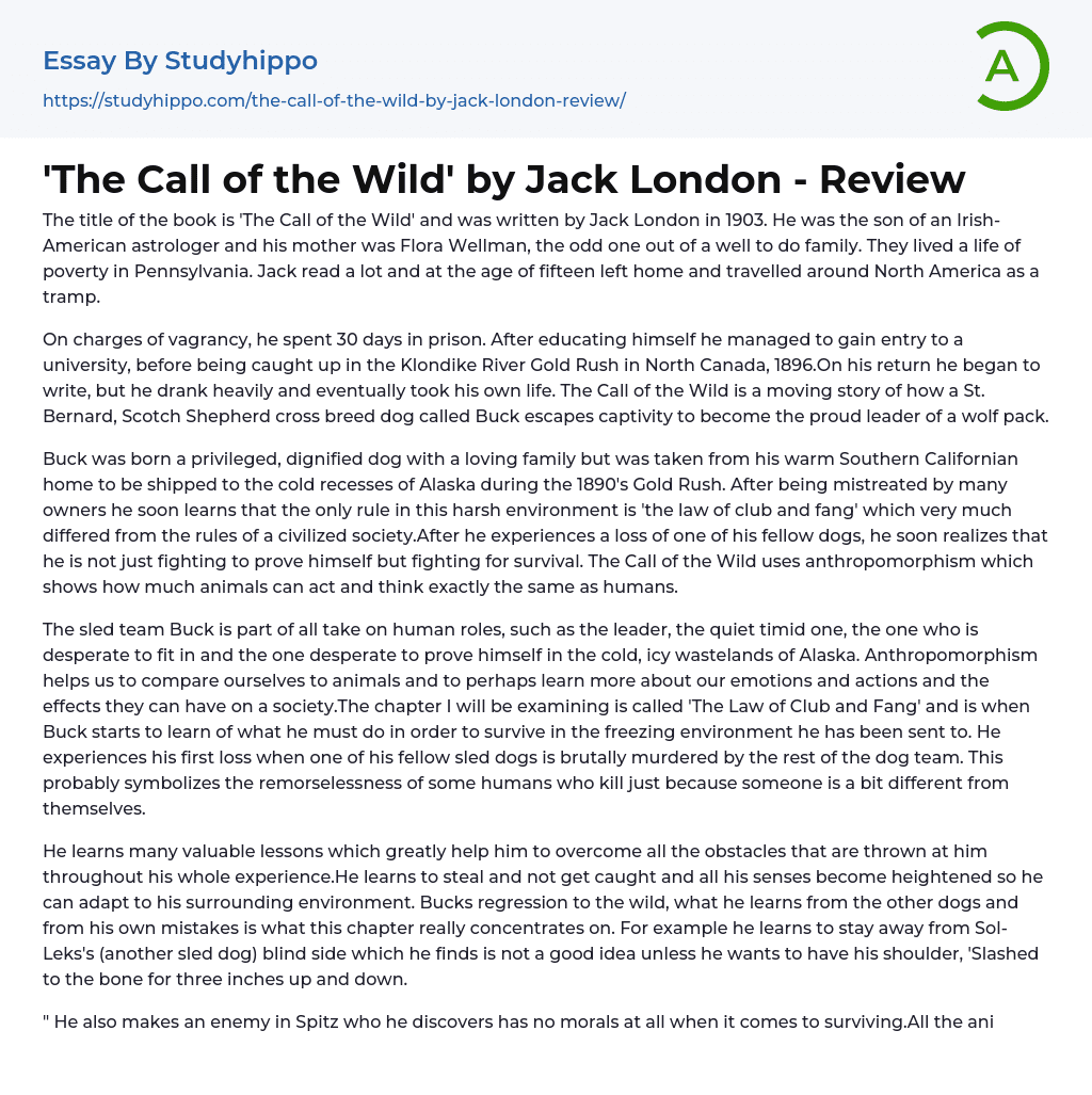 essay for call of the wild