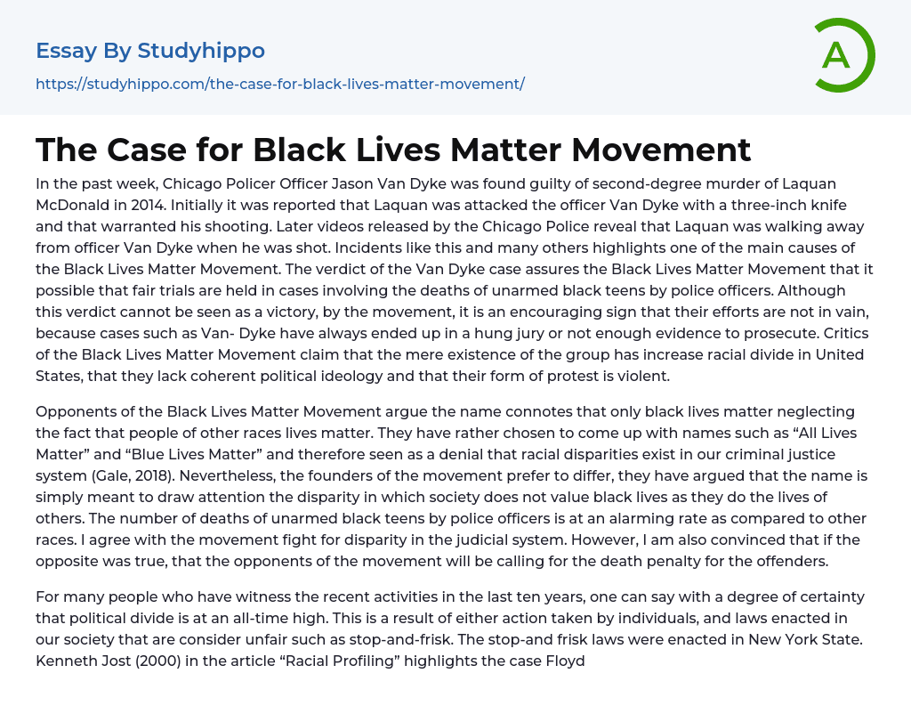 The Case for Black Lives Matter Movement Essay Example