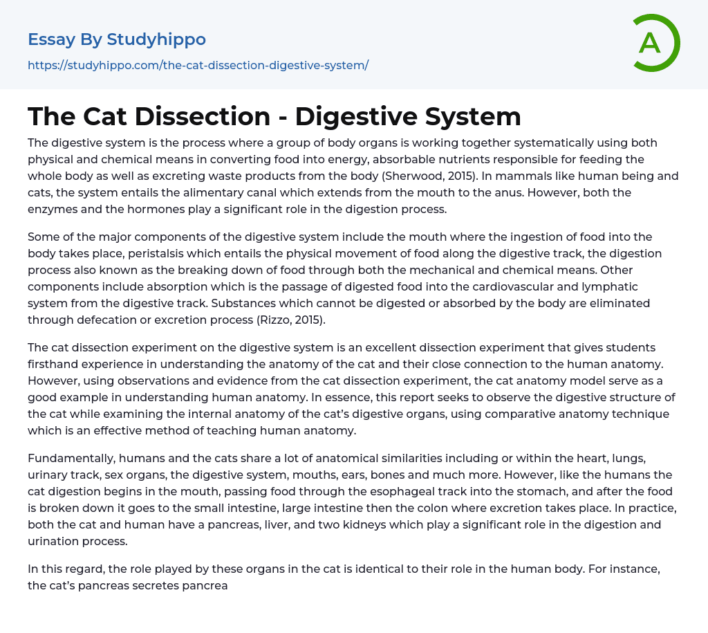 The Cat Dissection – Digestive System Essay Example