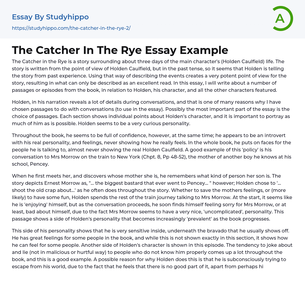 The Catcher In The Rye Essay Example