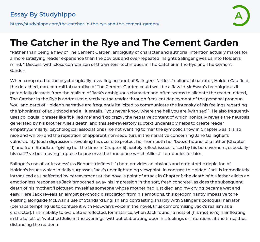 The Catcher in the Rye and The Cement Garden Essay Example