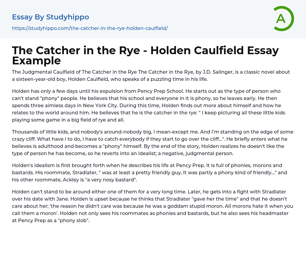 The Catcher in the Rye – Holden Caulfield Essay Example