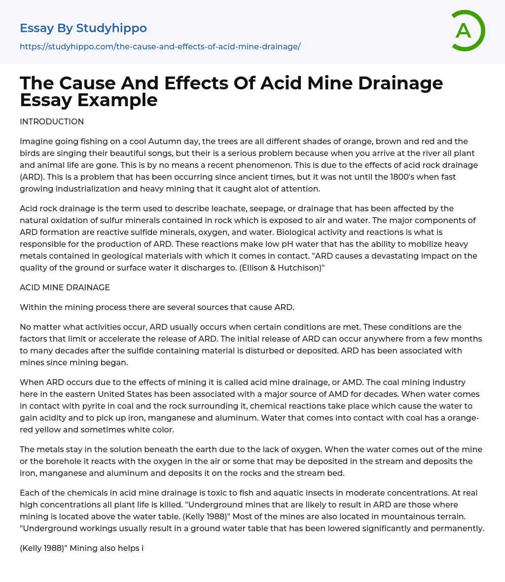The Cause And Effects Of Acid Mine Drainage Essay Example