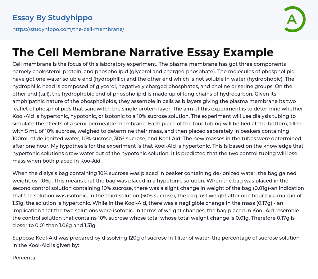 The Cell Membrane Narrative Essay Example