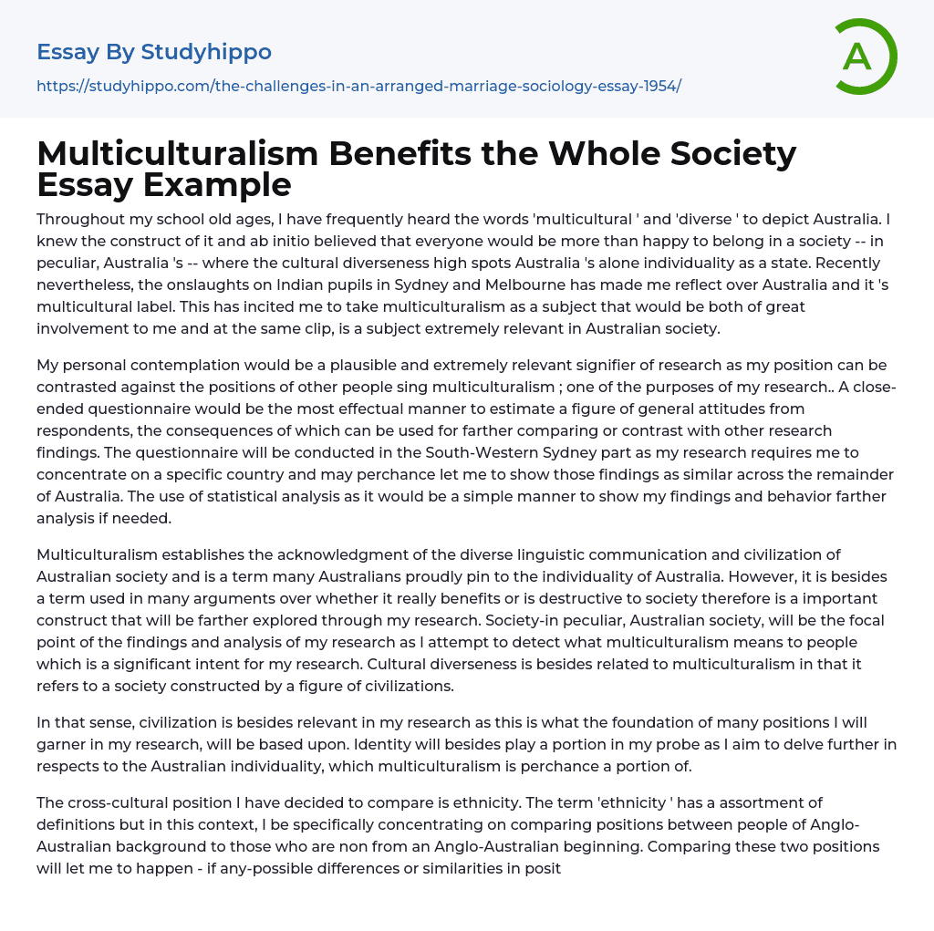 Multiculturalism Benefits the Whole Society Essay Example
