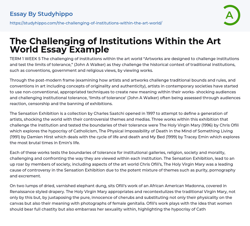 The Challenging of Institutions Within the Art World Essay Example