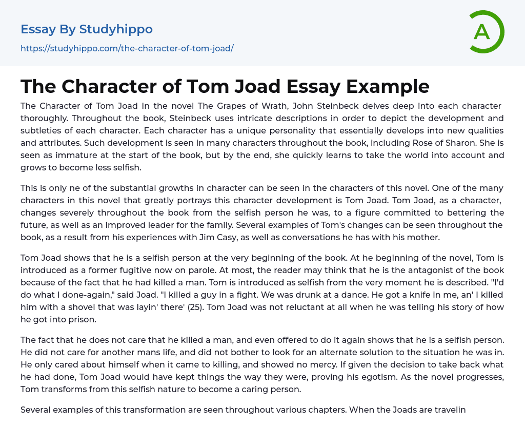 The Character of Tom Joad Essay Example