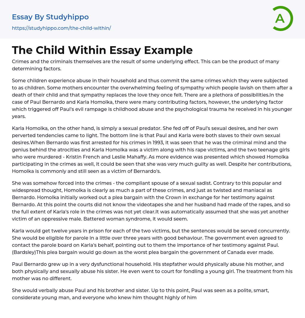 The Child Within Essay Example
