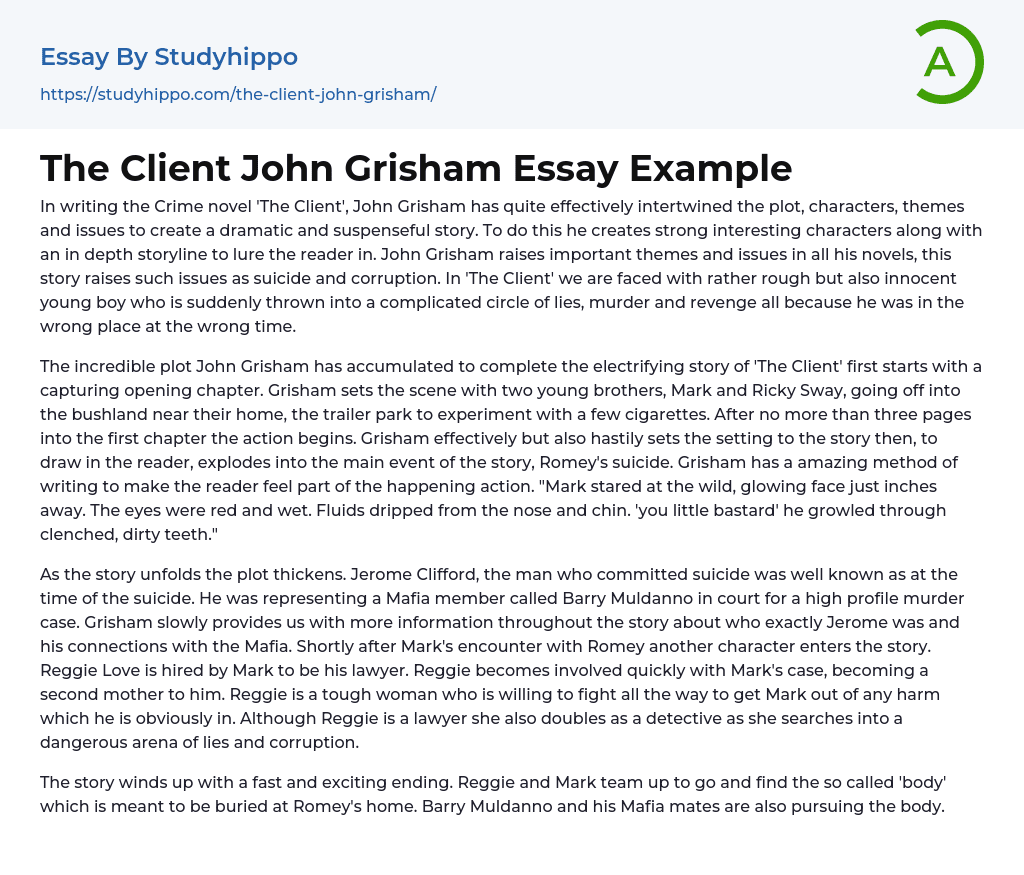 The Client John Grisham Essay Example
