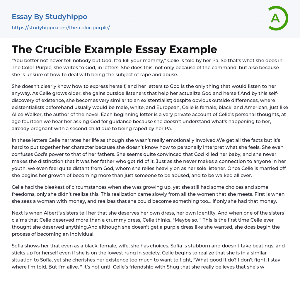 The Crucible Example Essay Example