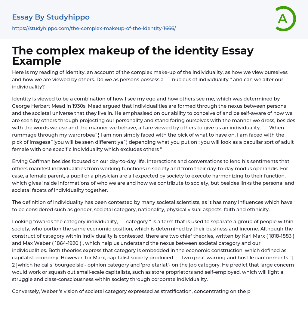 The complex makeup of the identity Essay Example