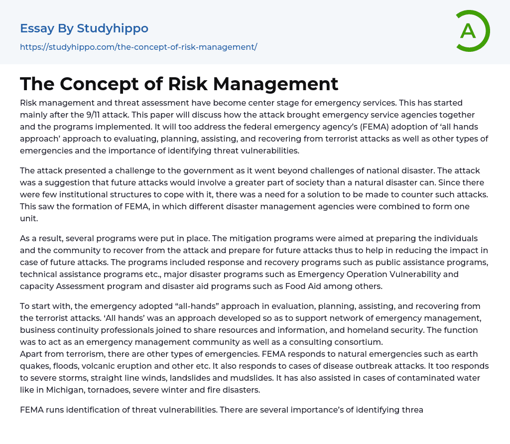 The Concept of Risk Management Essay Example