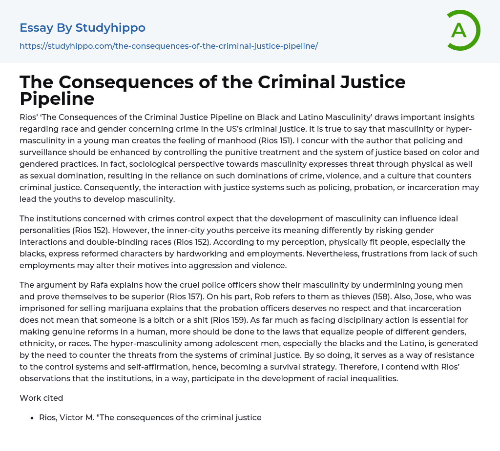 The Consequences of the Criminal Justice Pipeline Essay Example