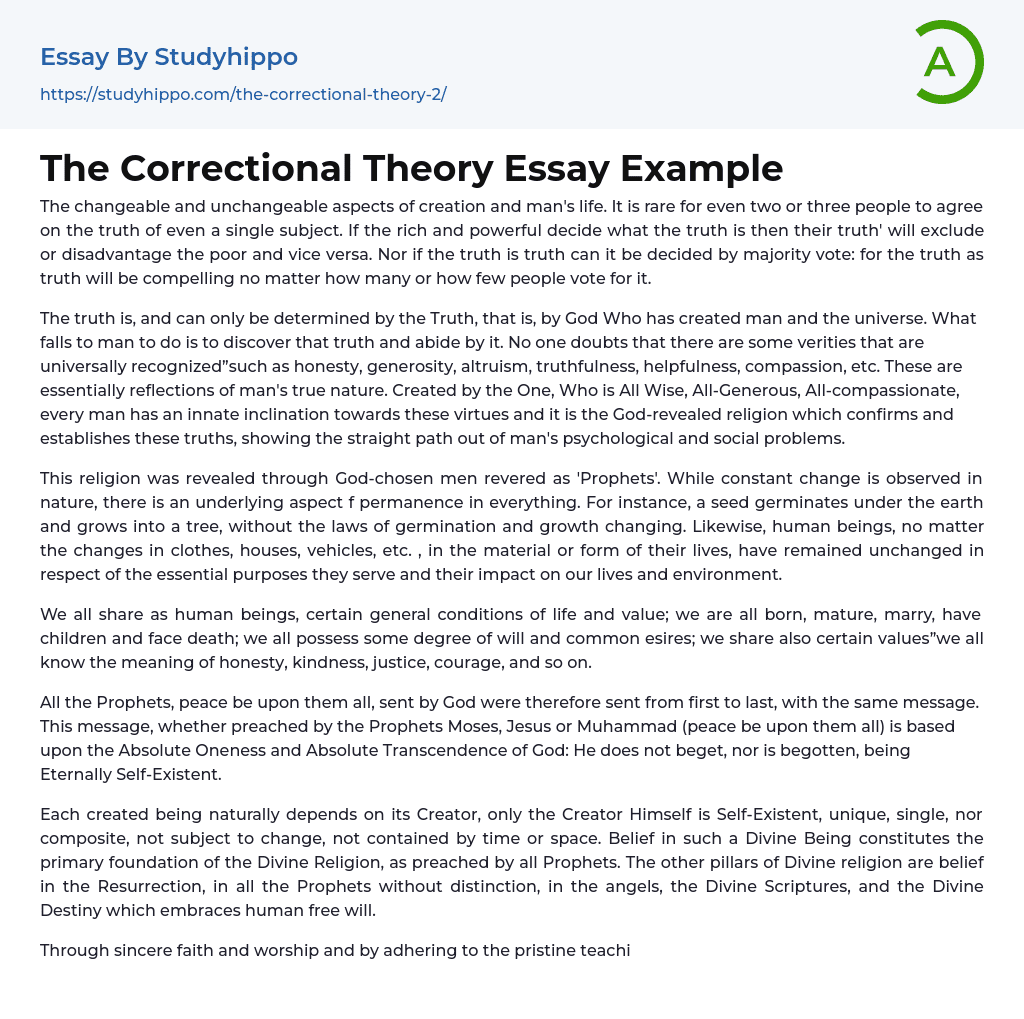The Correctional Theory Essay Example