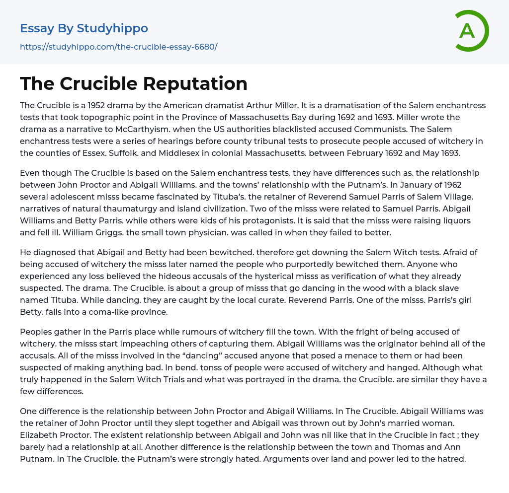 The Crucible Reputation Essay Example