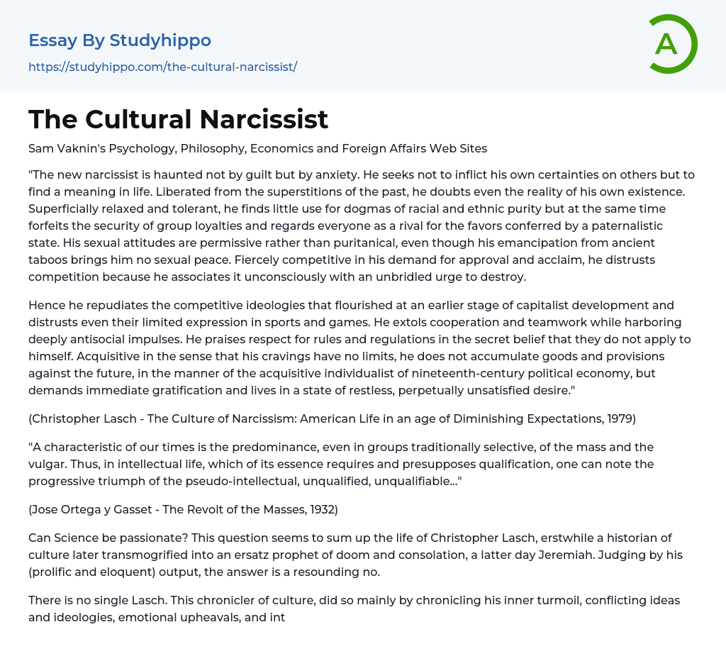 The Cultural Narcissist Essay Example