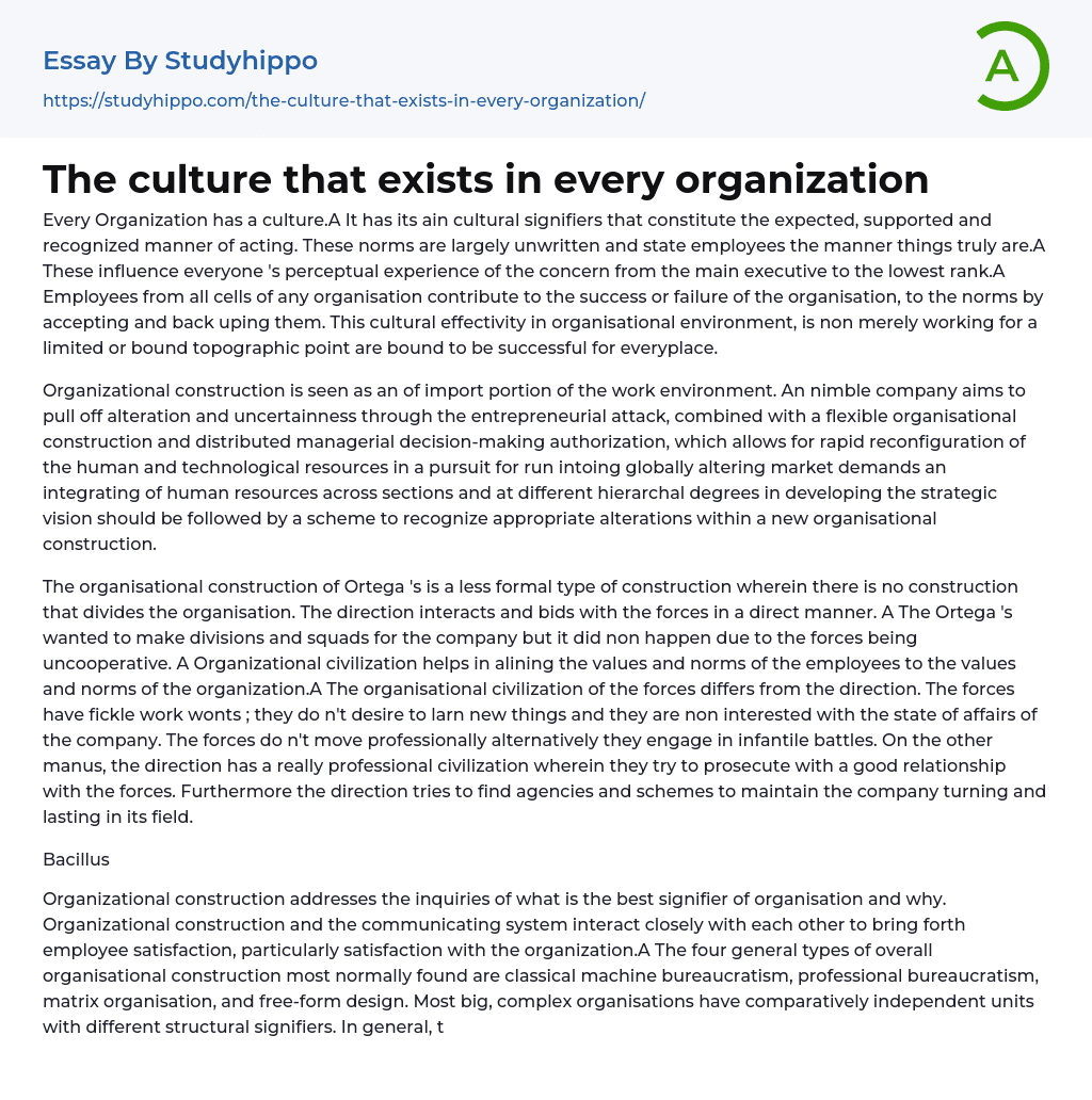 The culture that exists in every organization Essay Example
