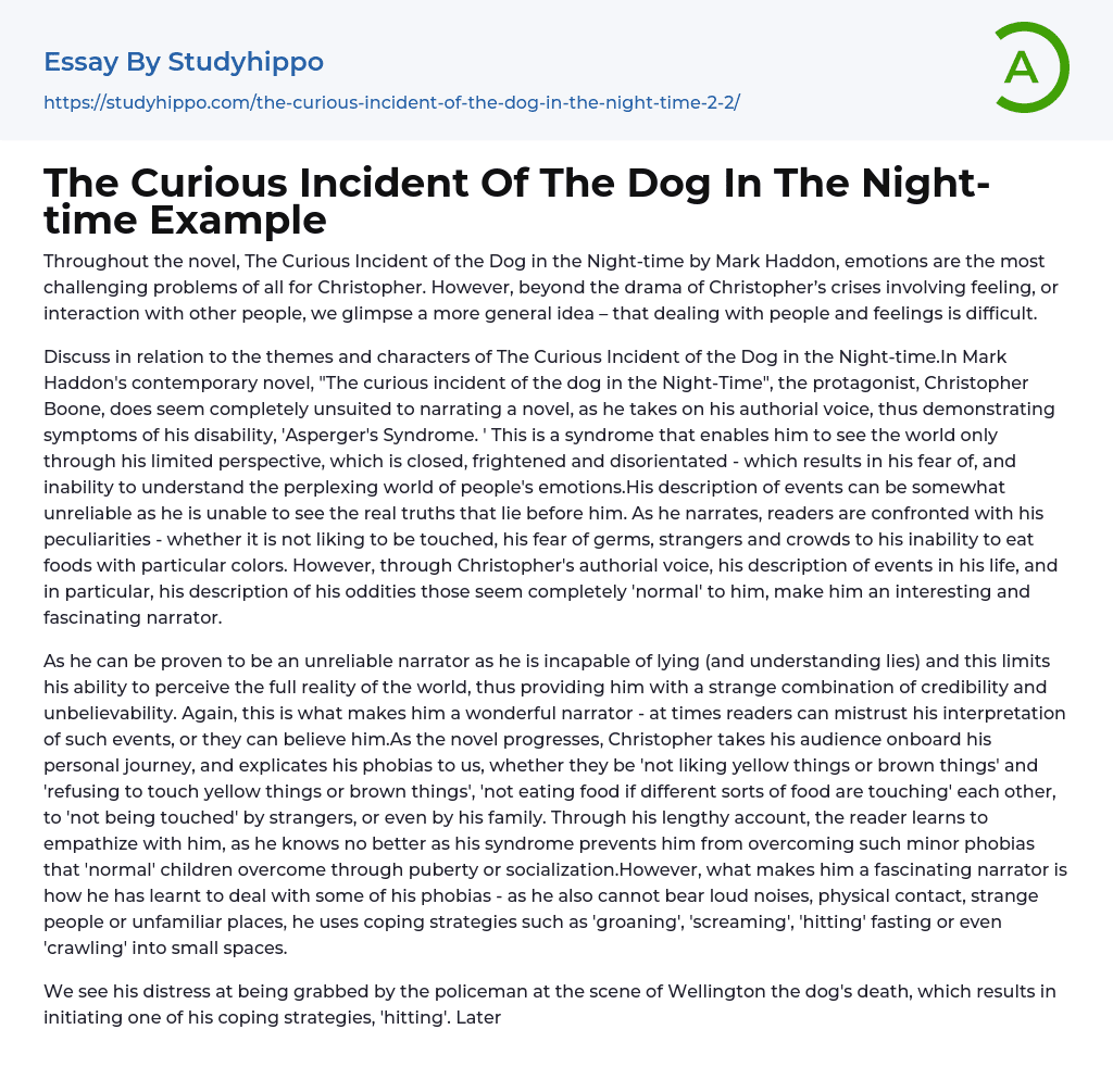 The Curious Incident Of The Dog In The Night-time Example Essay Example