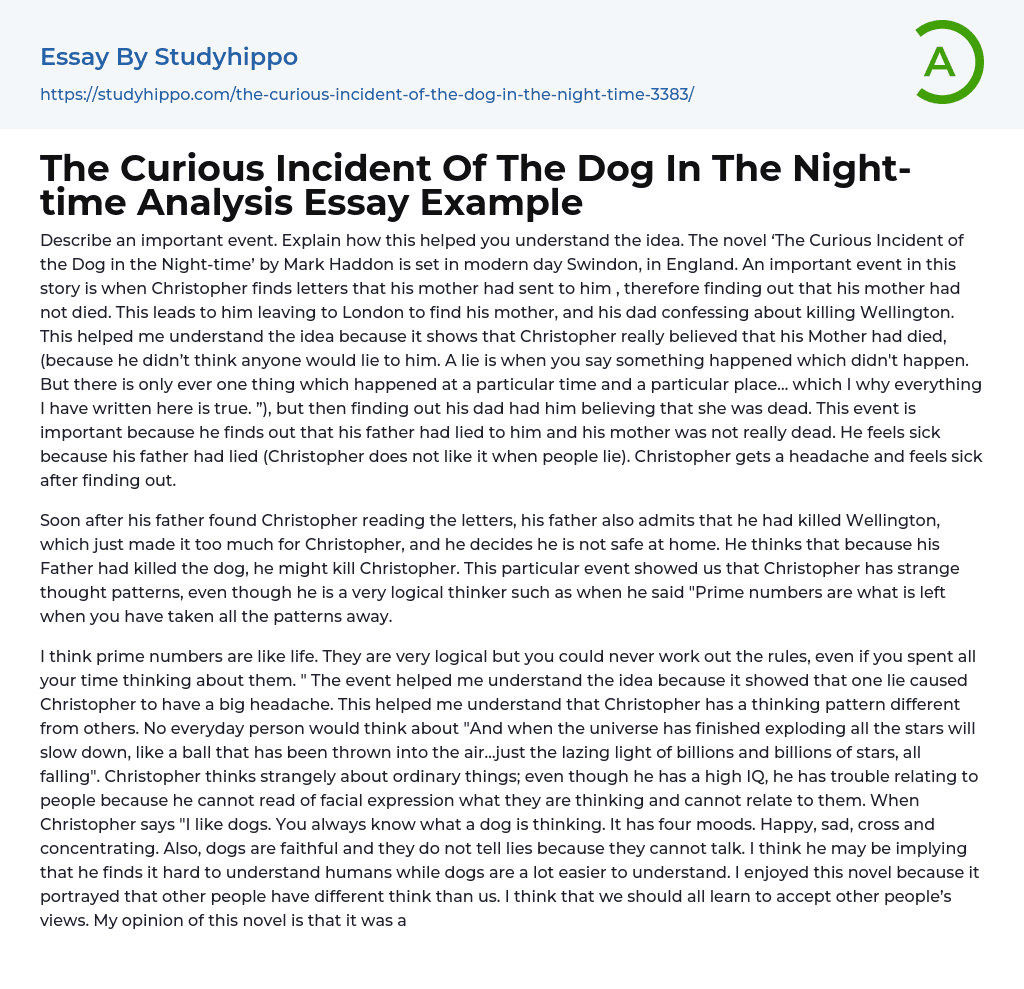 The Curious Incident Of The Dog In The Night-time Analysis Essay Example