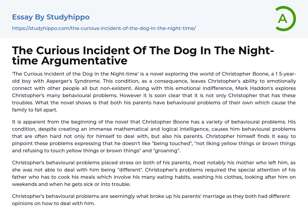 The Curious Incident Of The Dog In The Night-time Argumentative Essay Example