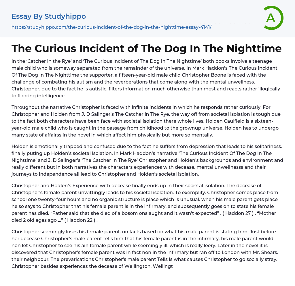 The Curious Incident of The Dog In The Nighttime Essay Example