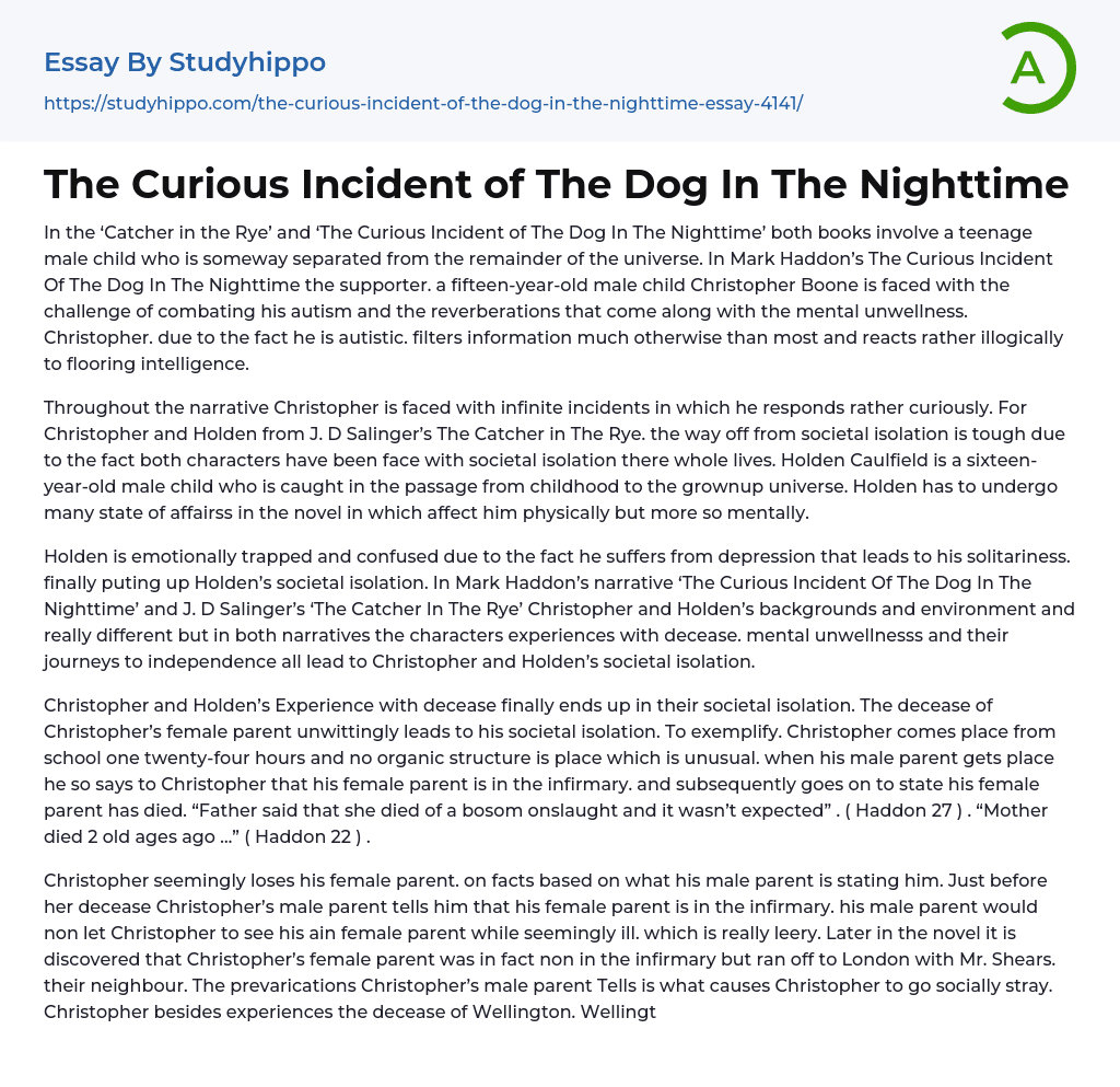 curious incident of the dog in the nighttime essay topics