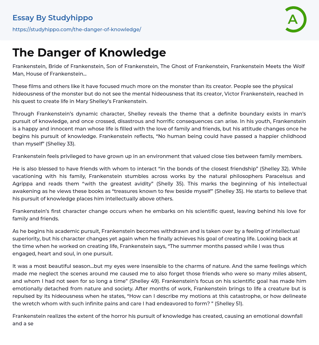 The Danger of Knowledge Essay Example