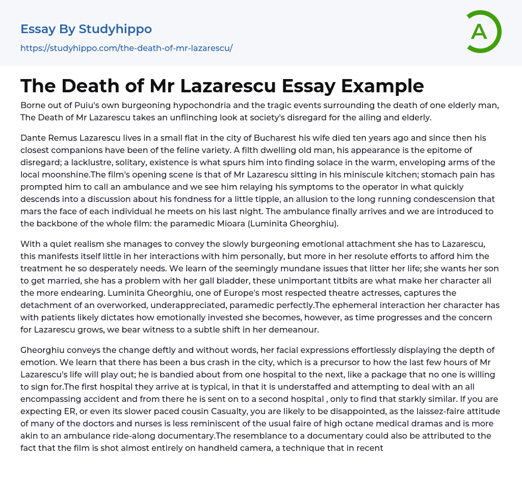 The Death of Mr Lazarescu Essay Example