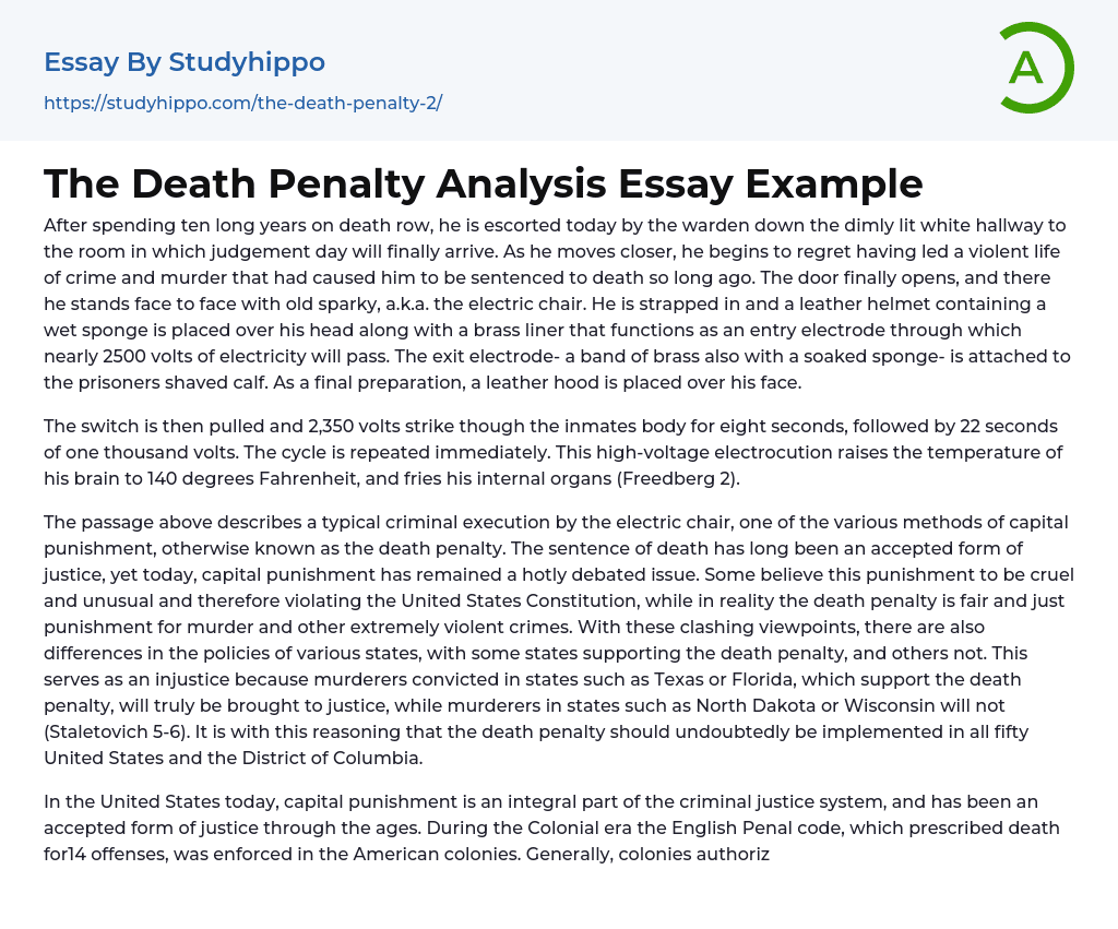 The Death Penalty Analysis Essay Example