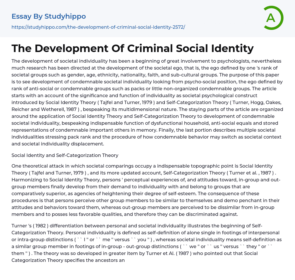 The Development Of Criminal Social Identity Essay Example